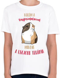 printfashion Legjobb terápia - Tengerimalac - Gyerek póló - Fehér (7092227)