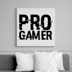 printfashion PRO GAMER - Vászonkép - Fehér (6639796)