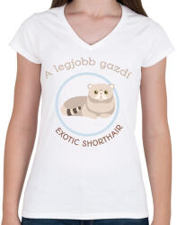 printfashion A legjobb gazdi - Exotic shorthair - Női V-nyakú póló - Fehér (6305546)