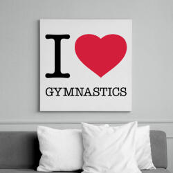 printfashion I love gymnastics - Vászonkép - Fehér (6630354)