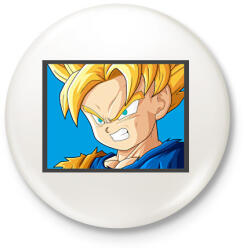 printfashion Dragon ball karakterek5 - Kitűző, hűtőmágnes - Fehér (12591629)