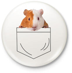 printfashion Tengerimalac zsebben - Kitűző, hűtőmágnes - Fehér (7091264)