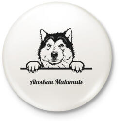 printfashion Alaskai Malamut - Kitűző, hűtőmágnes - Fehér (5117917)