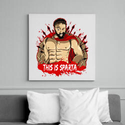 printfashion Leonidasz - Vászonkép - Fehér (6630848)