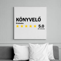 printfashion Könyvelő értékelés - Vászonkép - Fehér (6641139)