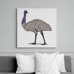 printfashion Emu - Vászonkép - Fehér (13222243)