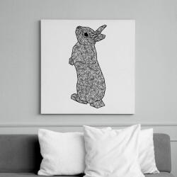 printfashion Nyuszi - Vászonkép - Fehér (13261095)