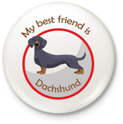 printfashion My best friend - Dachshund - Kitűző, hűtőmágnes - Fehér (6297829)