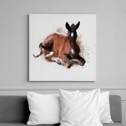 printfashion kiscsikó portré - Vászonkép - Fehér (6627313)