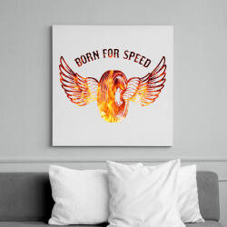 printfashion born for speed - Vászonkép - Fehér (15444651)
