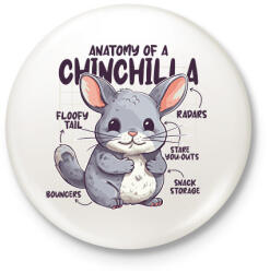 printfashion Csincsilla anatómia - Kitűző, hűtőmágnes - Fehér (14152628)