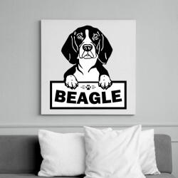 printfashion Beagle - Vászonkép - Fehér (6636981)