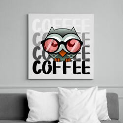 printfashion coffee owl - Vászonkép - Fehér (6640136)