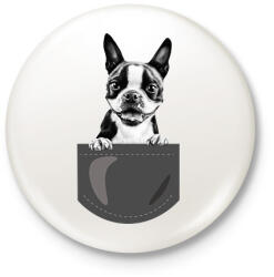 printfashion Boston Terrier - zseb - Kitűző, hűtőmágnes - Fehér (7098640)