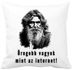 printfashion öregebb vagyok mint az internet - Párnahuzat, Díszpárnahuzat - Fehér (1452413)