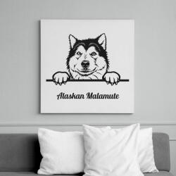 printfashion Alaskai Malamut - Vászonkép - Fehér (6637264)