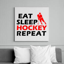 printfashion Hockey 01 - Vászonkép - Fehér (11709910)