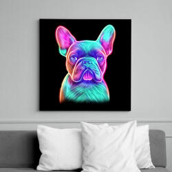 printfashion Francia bulldog - Vászonkép - Fekete (13376286)