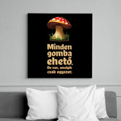printfashion Minden gomba ehető - egyszer biztosan! - Vászonkép - Fekete (11725685)
