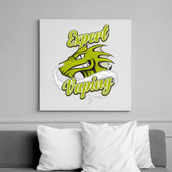 printfashion Expert Vaping - Vászonkép - Fehér (6623685)