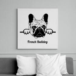 printfashion French Bulldog - Vászonkép - Fehér (6637256)