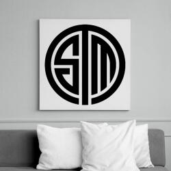 printfashion Tsm logo - Vászonkép - Fehér (6627789)