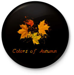 printfashion colors of autumn - Kitűző, hűtőmágnes - Fekete (3099170)