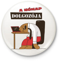 printfashion A hónap dolgozója - lajhár - Kitűző, hűtőmágnes - Fehér (4756155)