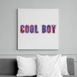 printfashion cool boy - Vászonkép - Fehér (6626611)