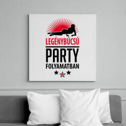printfashion Legénybúcsú party folyamatban - Vászonkép - Fehér (6626372)
