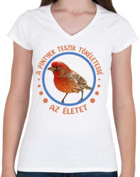 printfashion Tökéletes élet - Pinty - Női V-nyakú póló - Fehér (7341789)