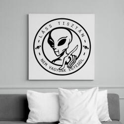 printfashion Nem vagyunk Egyedül - Vászonkép - Fehér (6627510)