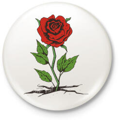 printfashion Rózsa - Kitűző, hűtőmágnes - Fehér (6161479)