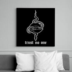 printfashion Trust no one - Vászonkép - Fekete (16760721)