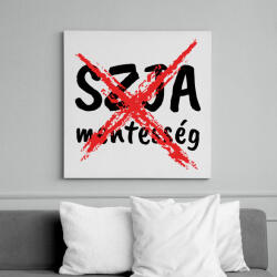 printfashion SZJA Mentesség vége - Vászonkép - Fehér (16493376)