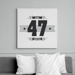 printfashion b-day-47-dark-lightgrey - Vászonkép - Fehér (6622828)