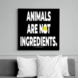 printfashion Animals are not ingredients. - vegán aktivista grafika #2 - Vászonkép - Fekete (6655301)