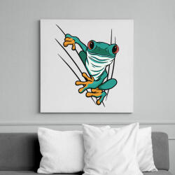 printfashion Béka - Vászonkép - Fehér (11553964)