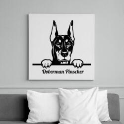 printfashion Doberman Pinscher - Vászonkép - Fehér (6637274)