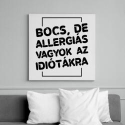 printfashion Bocs, de allergiás vagyok - Vászonkép - Fehér (7520245)