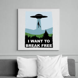 printfashion I want to break free - Vászonkép - Fehér (6625014)