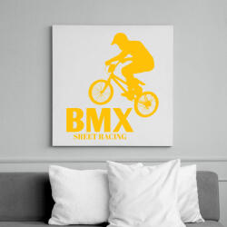 printfashion Bmx - Vászonkép - Fehér (6634747)