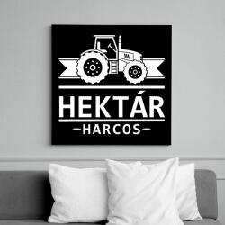 printfashion Hektár Harcos - Vászonkép - Fekete (6651304)