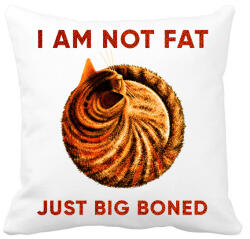 printfashion Big boned cat - Párnahuzat, Díszpárnahuzat - Fehér (6311909)