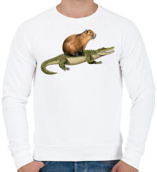 printfashion Capybara krokodil háton - Férfi pulóver - Fehér (15974864)