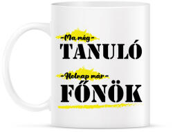 printfashion Holnap már főnök - Bögre - Fehér (8693723)