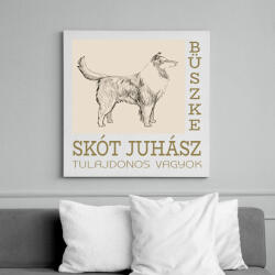 printfashion Büszke tulajdonos - Skót juhász - Vászonkép - Fehér (6640737)