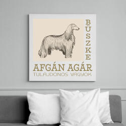 printfashion Büszke tulajdonos - Afgán agár - Vászonkép - Fehér (6640739)