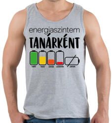 printfashion Energiaszintem Tanárként - Férfi atléta - Sport szürke (16549162)