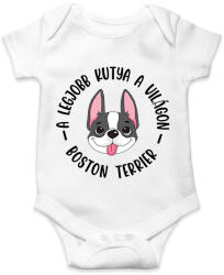 printfashion A legjobb kutya a világon - Boston terrier - Baba Body - Fehér (7099486)
